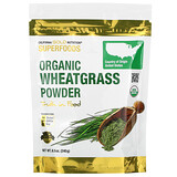 Amazing Grass, Таблетки из органических ростков пшеницы, 200 таблеток - iHerb
