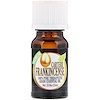 Healing Solutions, 100% Pure Therapeutic Grade Essential Oil, Carterii Frankincense, 0.33 fl oz (10ml)