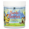 Nordic Naturals, Nordic Berries, мультивитаминные жевательные конфеты, оригинальный вкус, 120 ягод-жевательных конфет